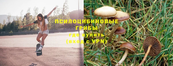 хмурый Балабаново
